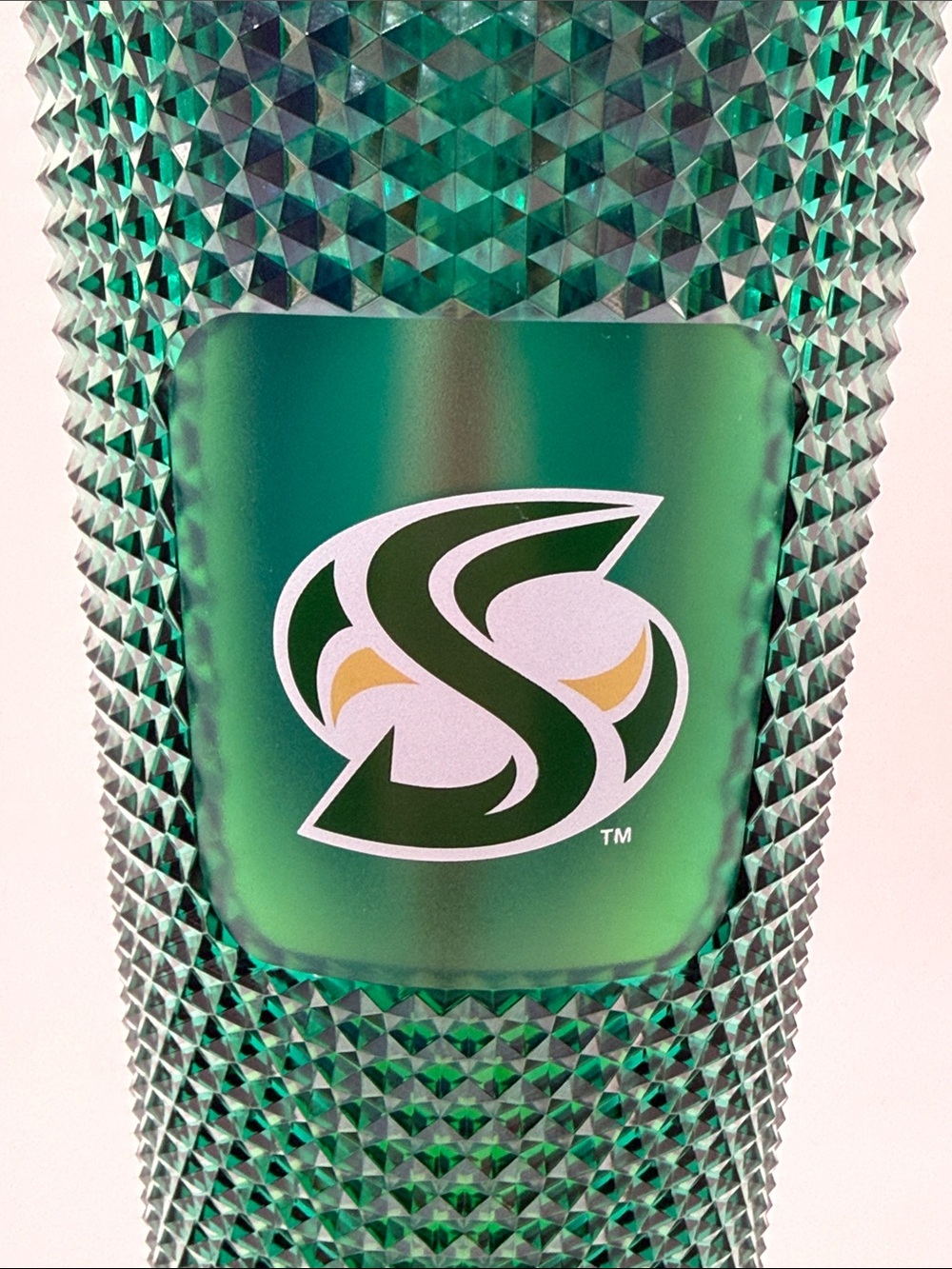 Starbucks Sacramento State University Hornets Studded Tumbler 24oz - Picture 4 of 8